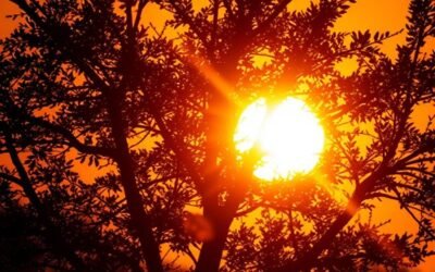 How to Master Backlighting Techniques – A Tech Guide